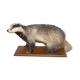 Naturalized badger on pedestal