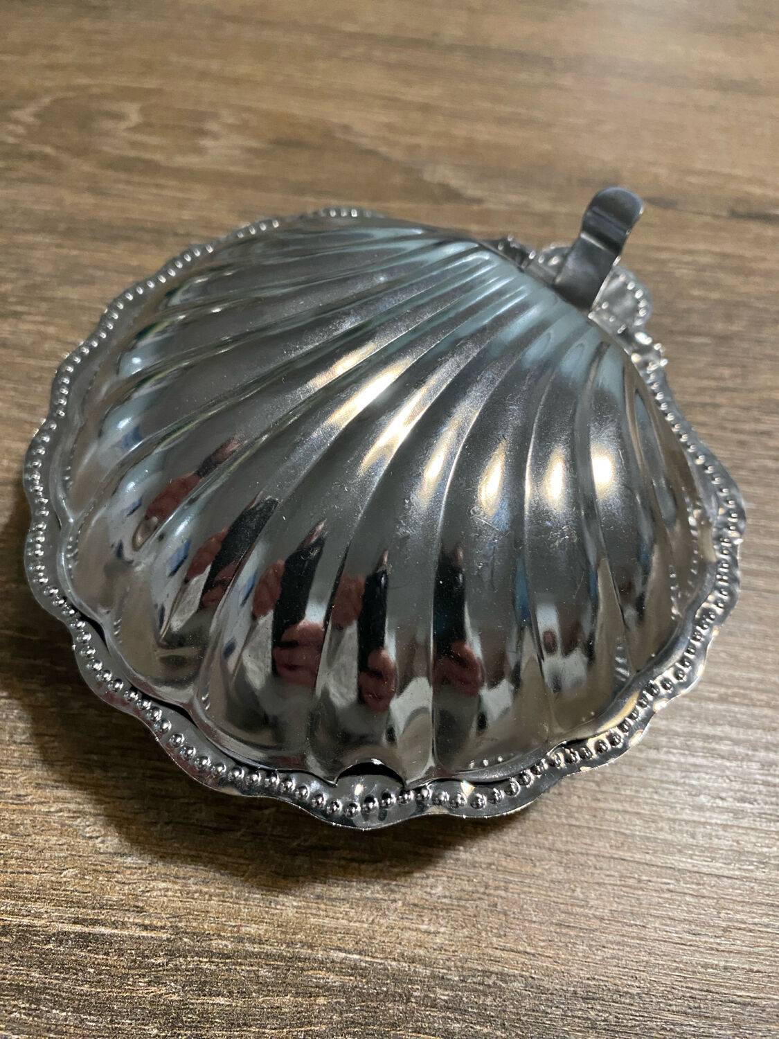 Stainless steel scallop shell butter dish