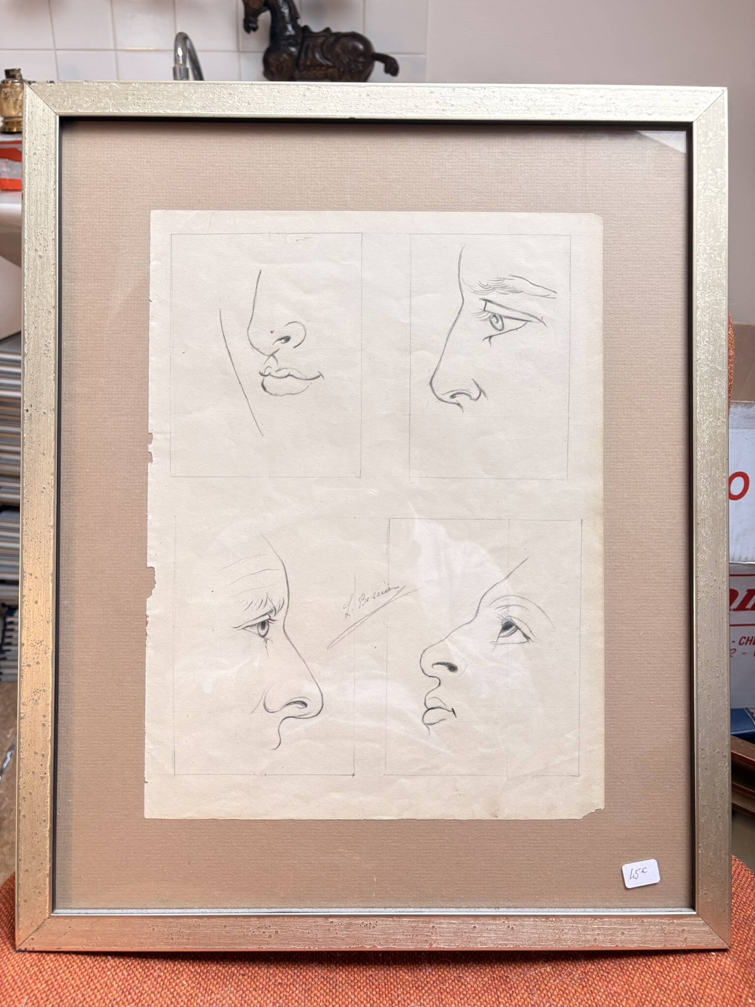 Old Engraving 19th Century Framed Anatomy Nose Mouth Plate Head Morphology