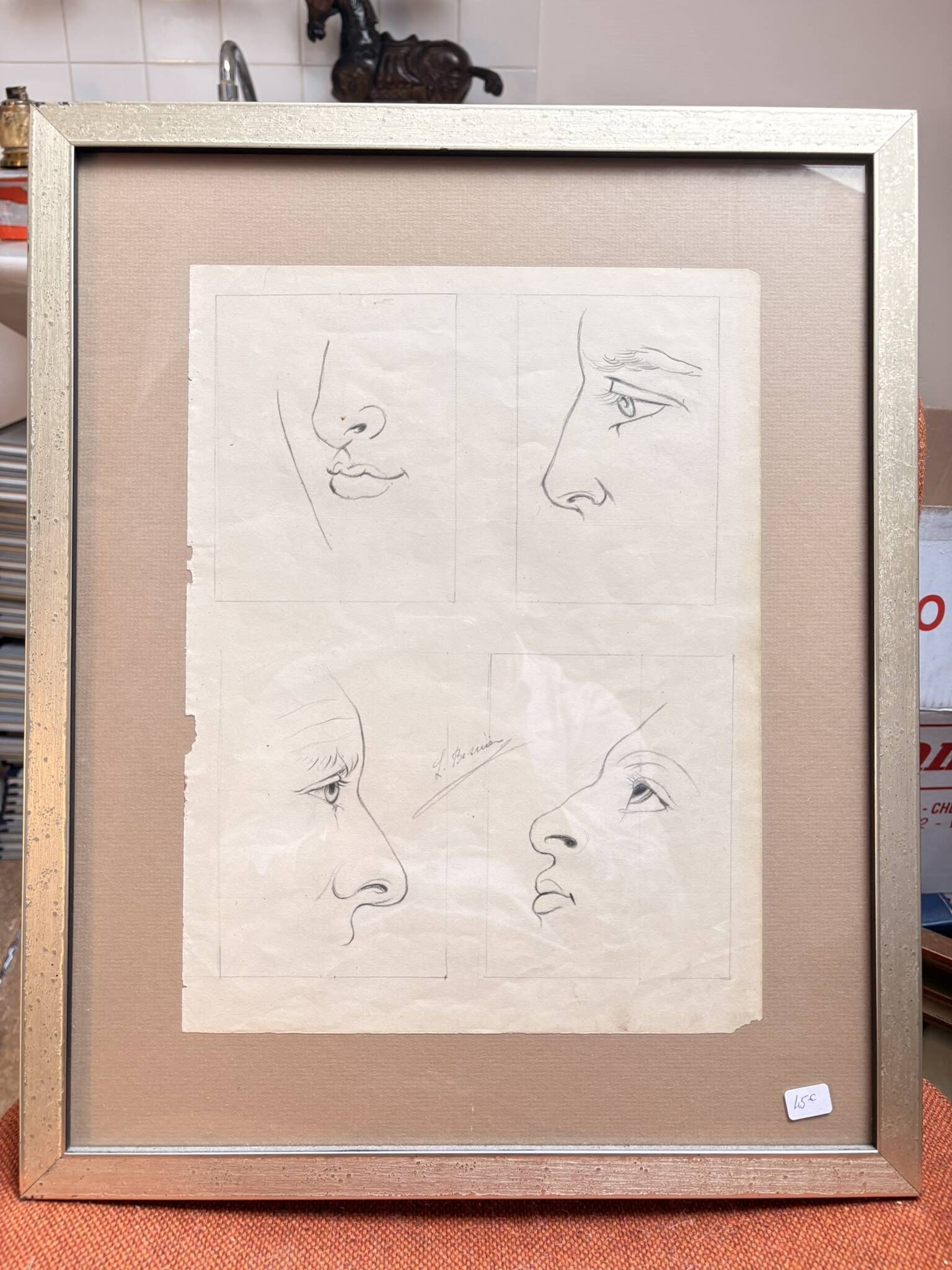 Old Engraving 19th Century Framed Anatomy Nose Mouth Plate Head Morphology