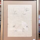 Old Engraving 19th Century Framed Anatomy Nose Mouth Plate Head Morphology