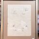 Old Engraving 19th Century Framed Anatomy Nose Mouth Plate Head Morphology