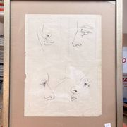 Old Engraving 19th Century Framed Anatomy Nose Mouth Plate Head Morphology
