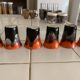 Set of 6 small liqueur cups Valauris