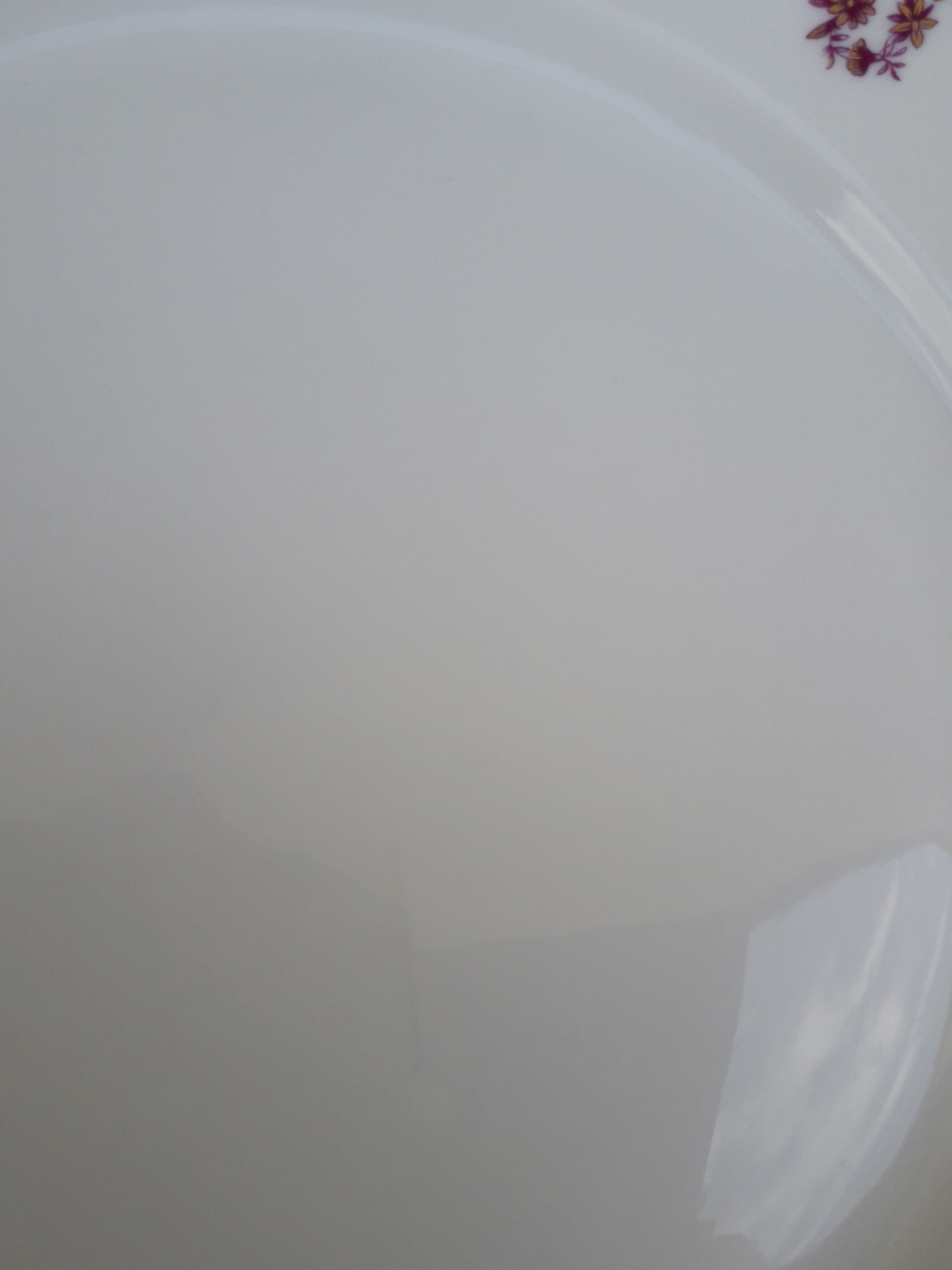 2 porcelain plates Mass and Surget diam 24 cm