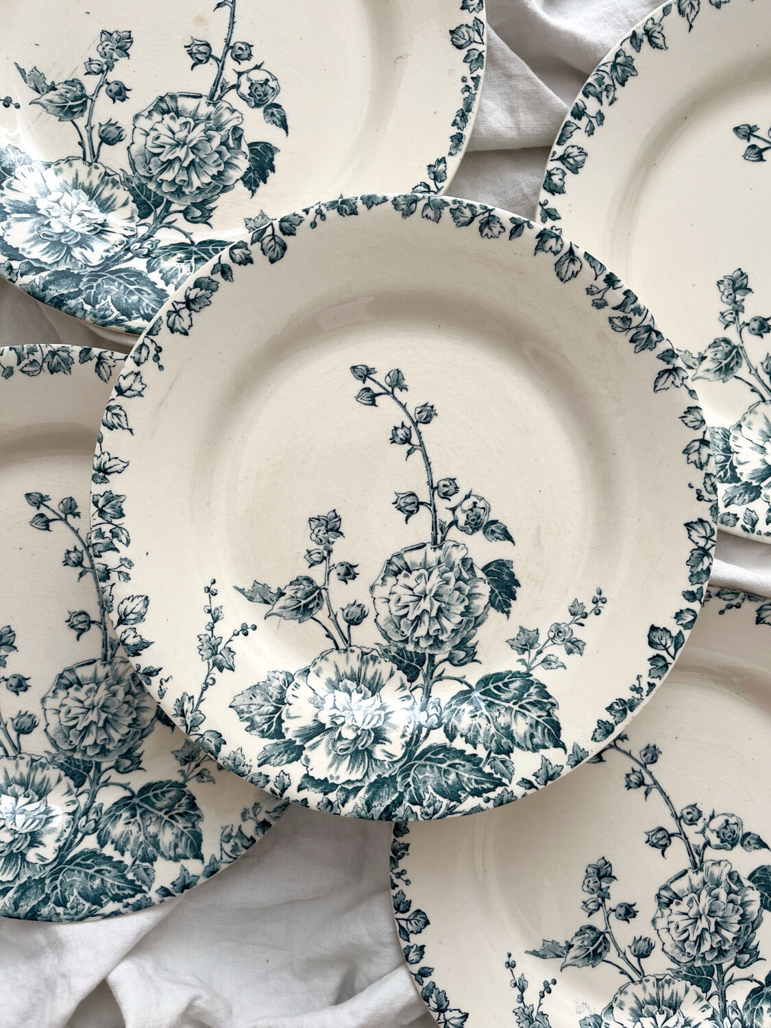 6 flat ironstone plates "Hollyhock" Gien