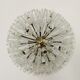 Dandelion Wall or Ceiling Lamp by Emil Stejnar for Rupert Nikoll