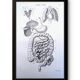 Printed in 1851, Digestive system, heart and lungs.