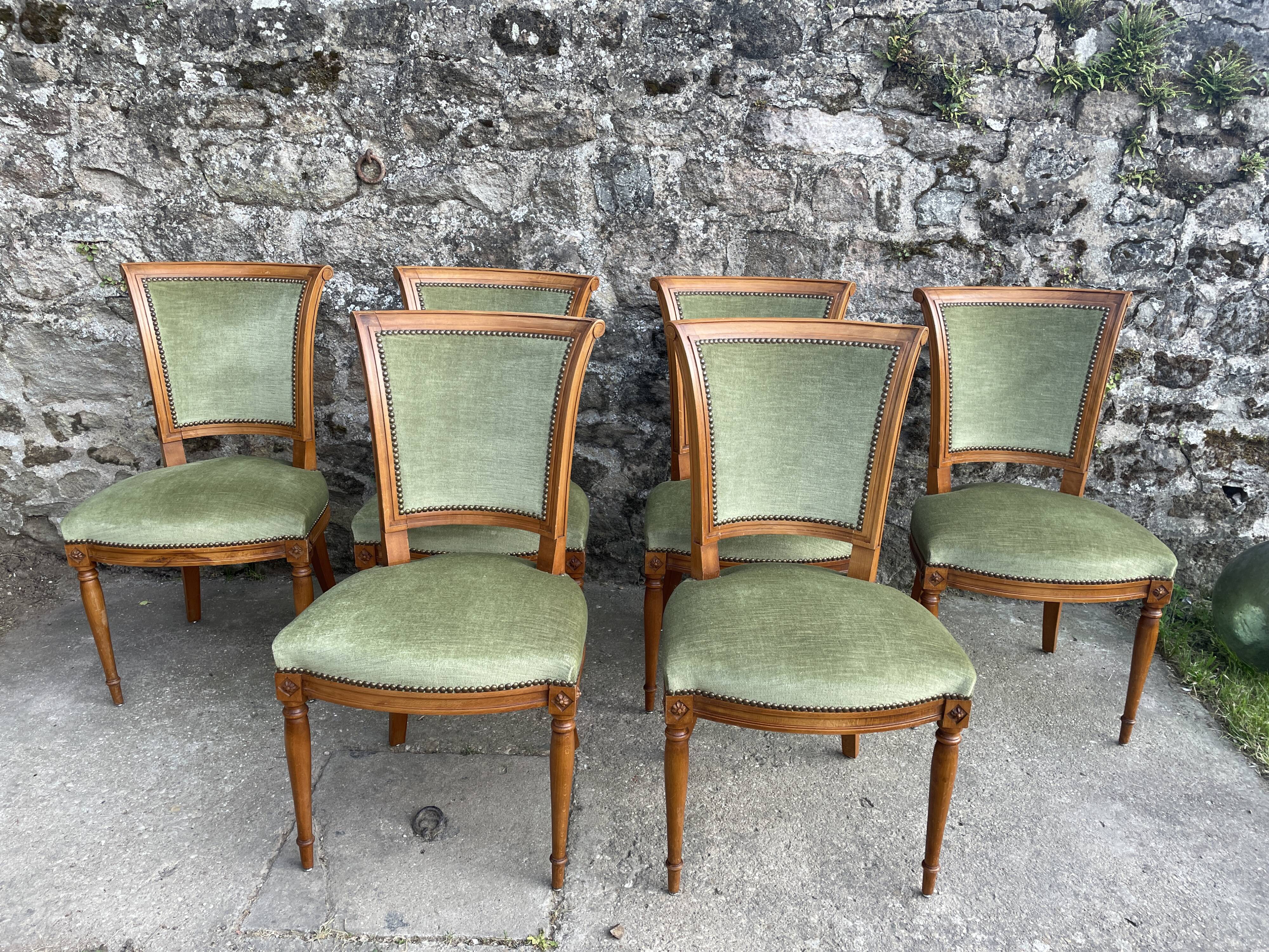 Set de 6 chaises Directoire en velours vert amande