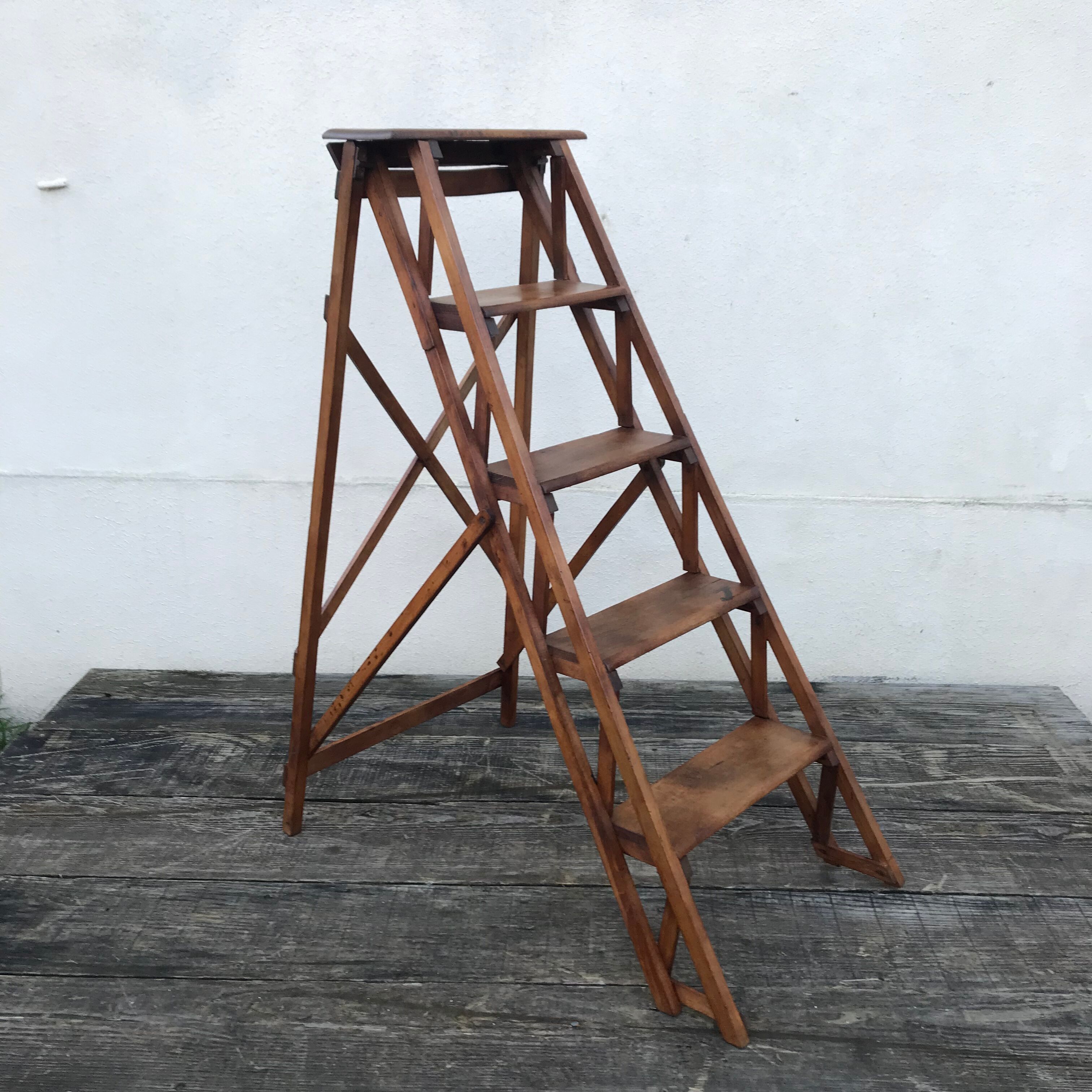 Old beech stepladder