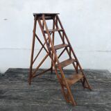 Old beech stepladder