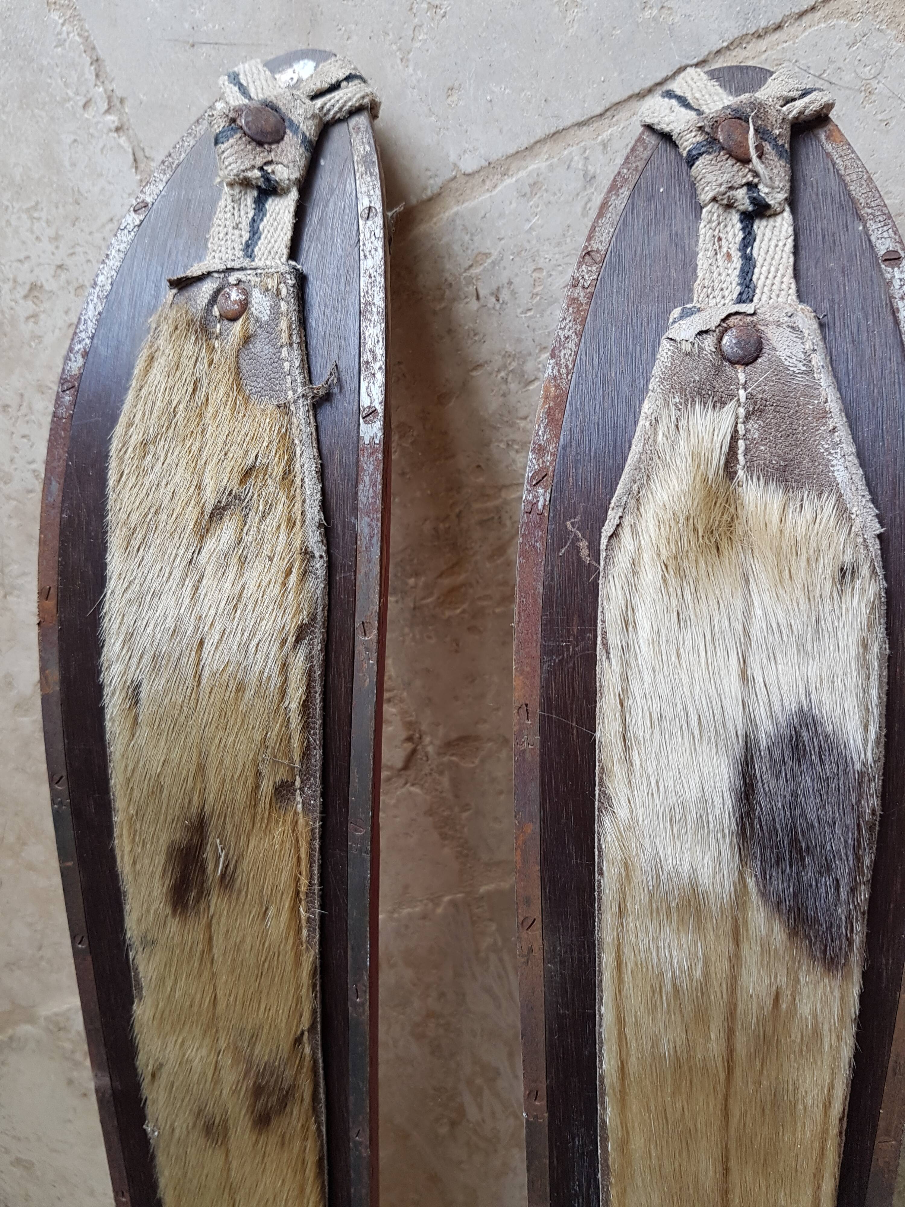 Nordic skiing in wood and skin former