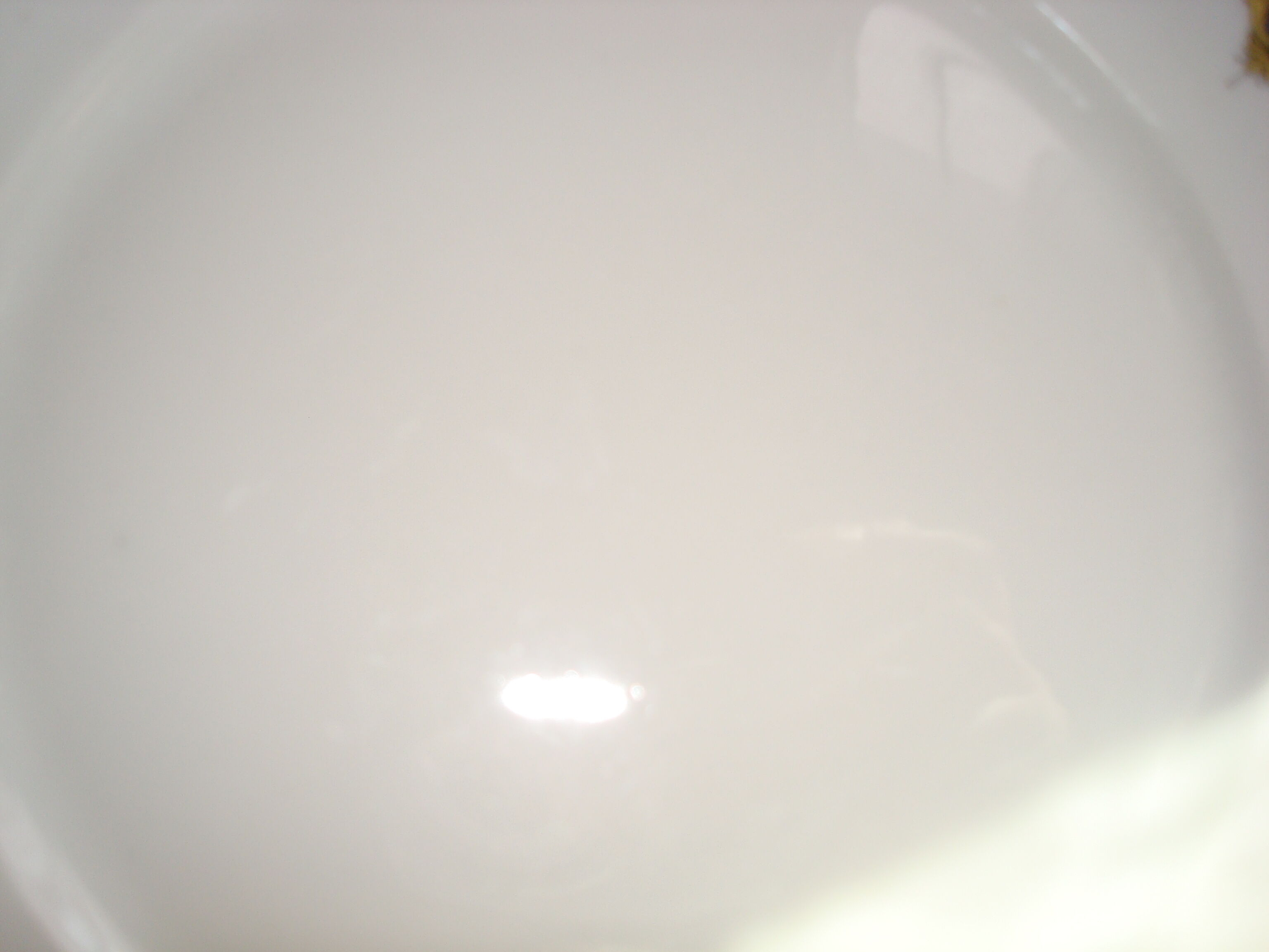 6 flat plates of porcelain "B.F Limoges" garland of roses and geometric frieze, lot 2.