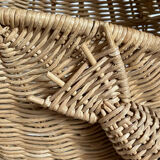 Willow frog Olivier Cajan