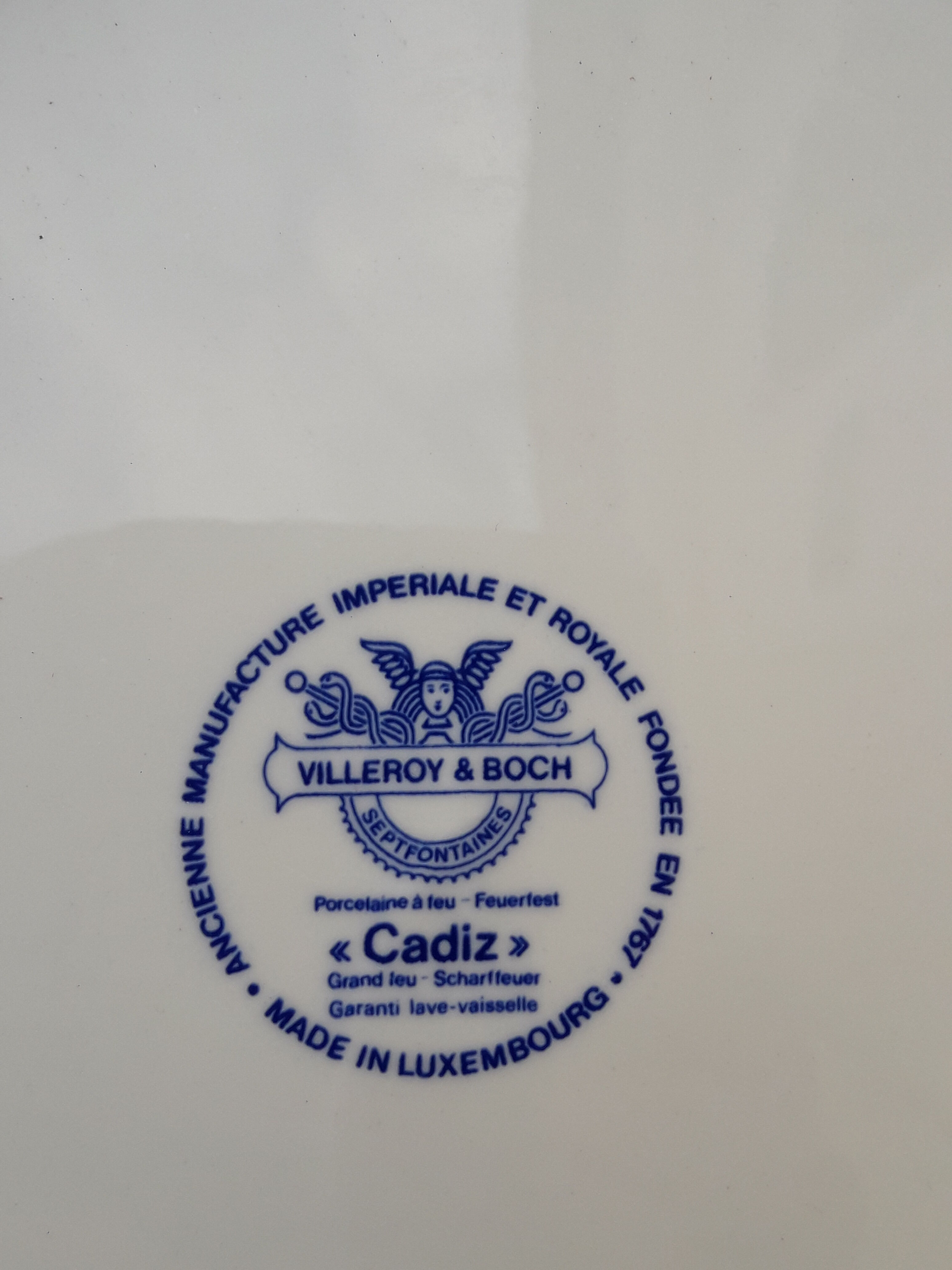 5 plates Villeroy and Boch model Cadiz Clacquesin diam 24 cm