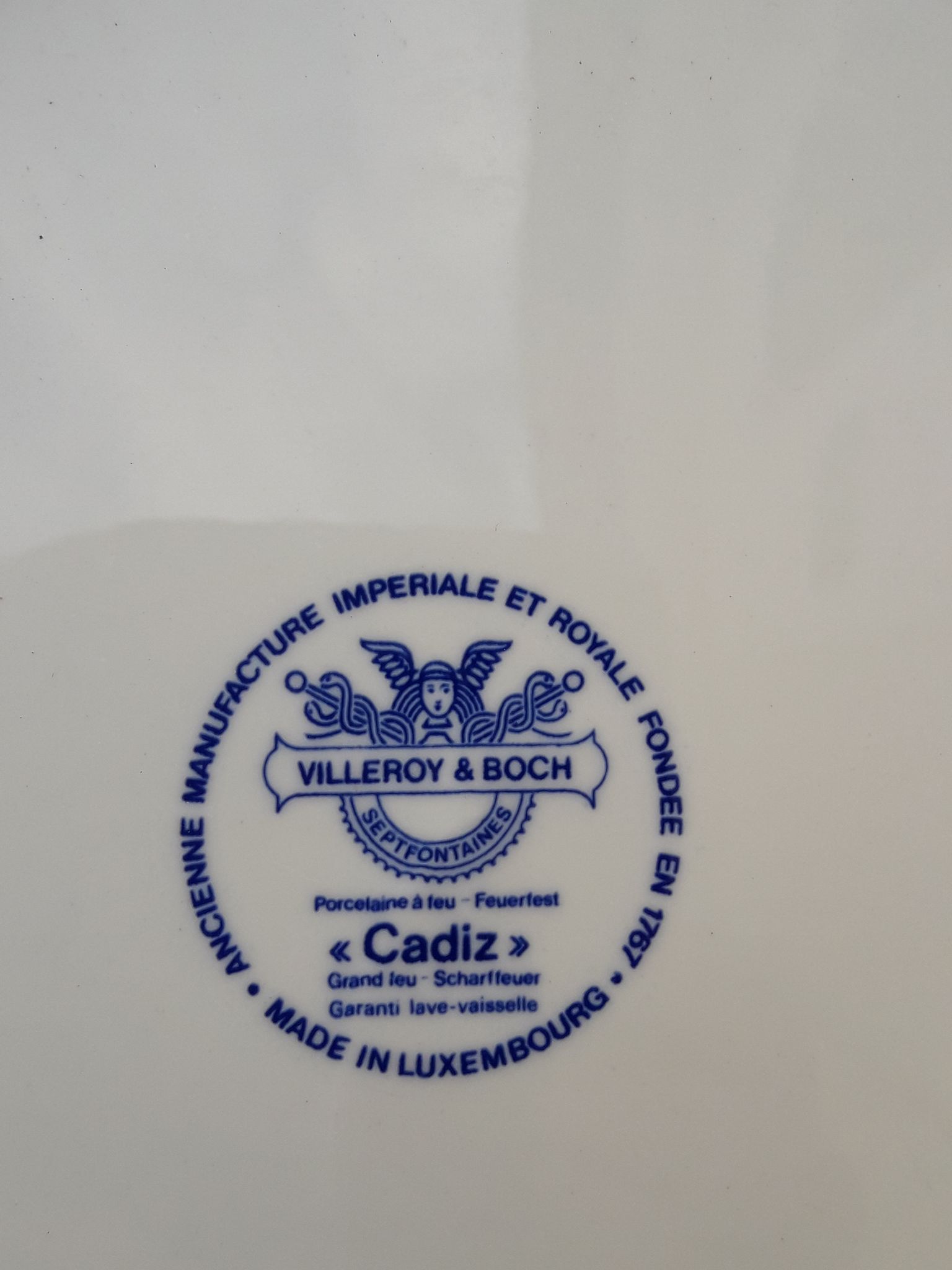 5 plates Villeroy and Boch model Cadiz Clacquesin diam 24 cm