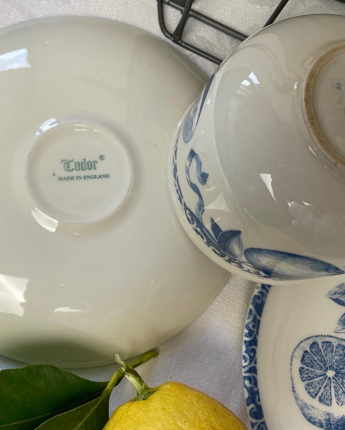 Duo of cups and undercups in English porcelain "Tudor"