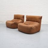 Aralia Chair by Michel Ducaroy for Ligne Roset 1970s