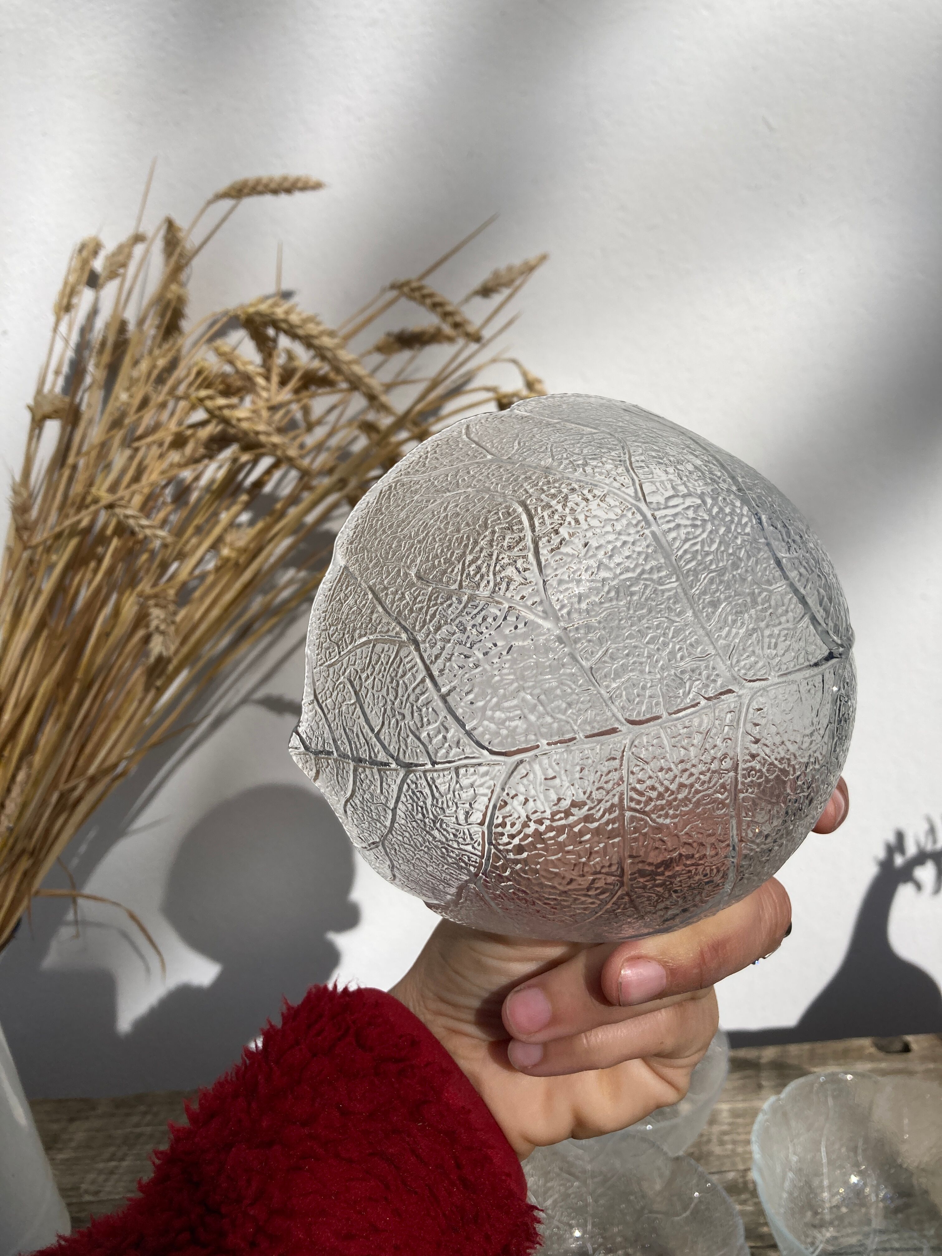 4 cups bowls transparent glass sheets