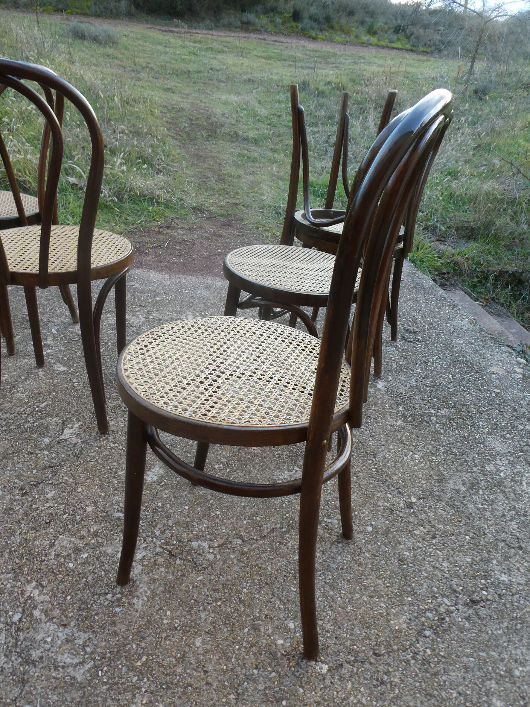 Set of 6 bistro chairs canned in curved wood N°18