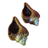 Cendriers coquillage
