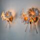 Paire d'appliques fleurs de lys roses, verre de murano, Italie, 1970