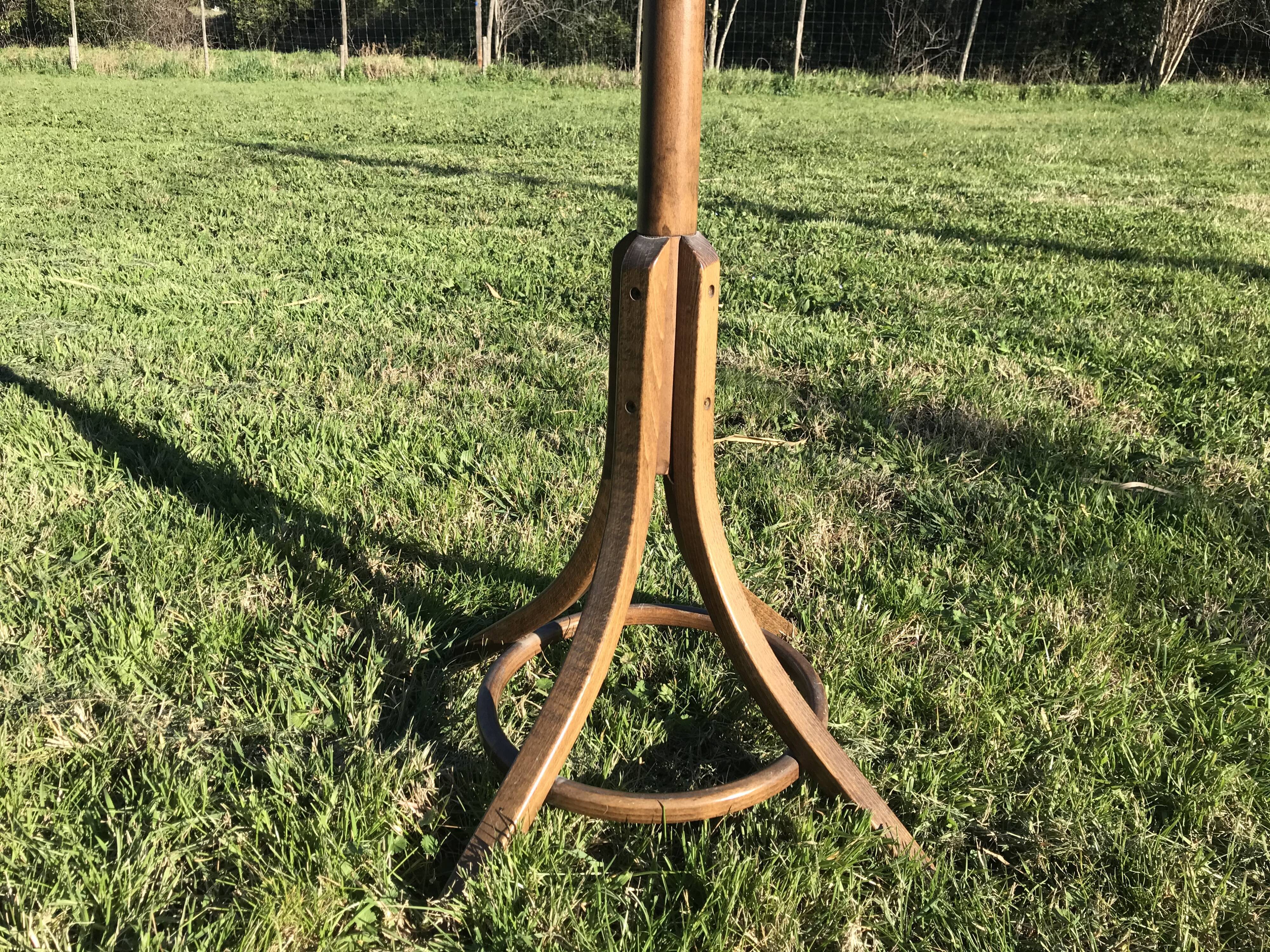 Curved wooden parrot coat door