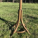 Curved wooden parrot coat door