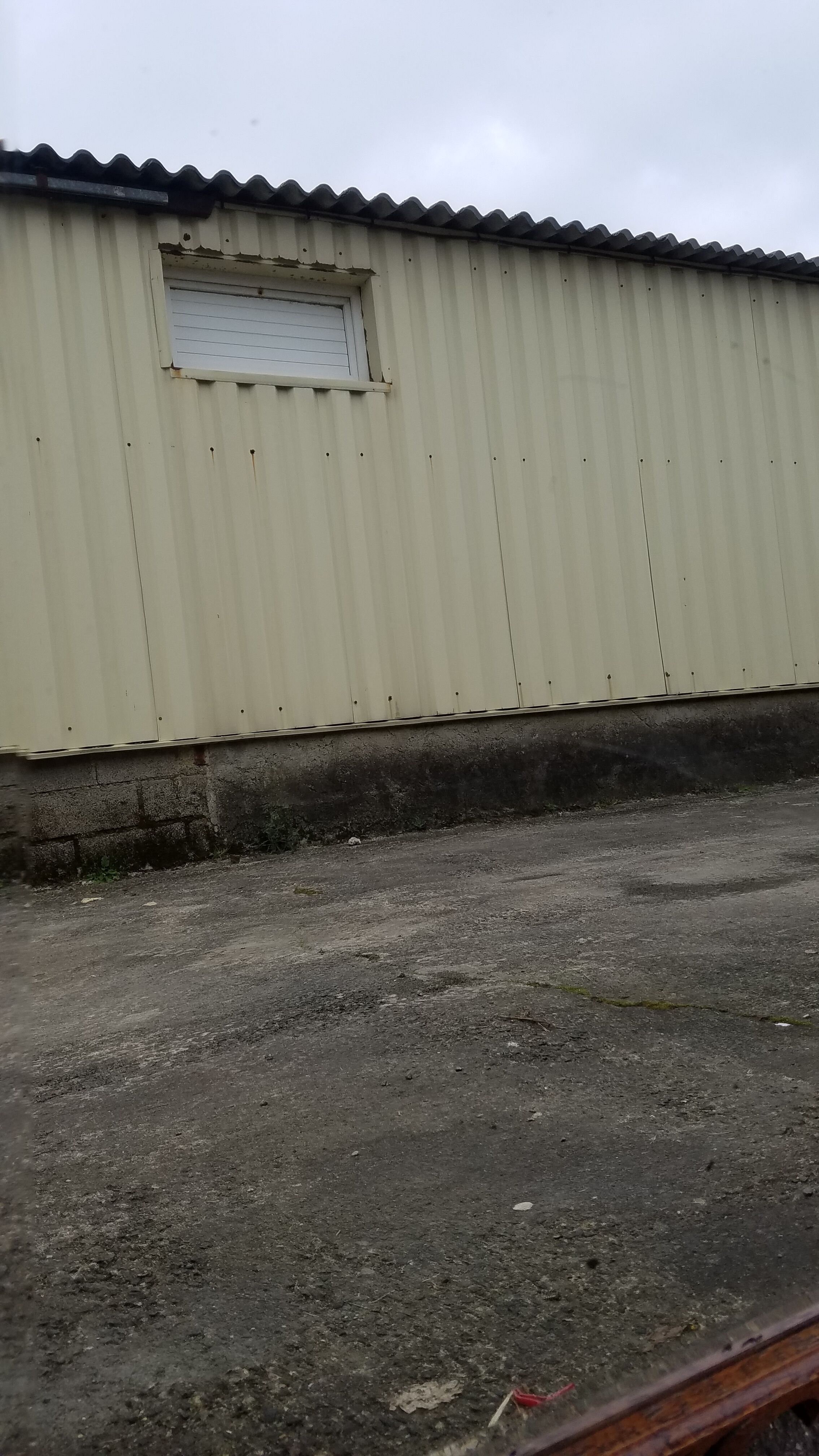 Mirror bevelled wooden frame - 93x75cm