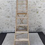 Large stepladder