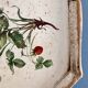 Old wooden tray