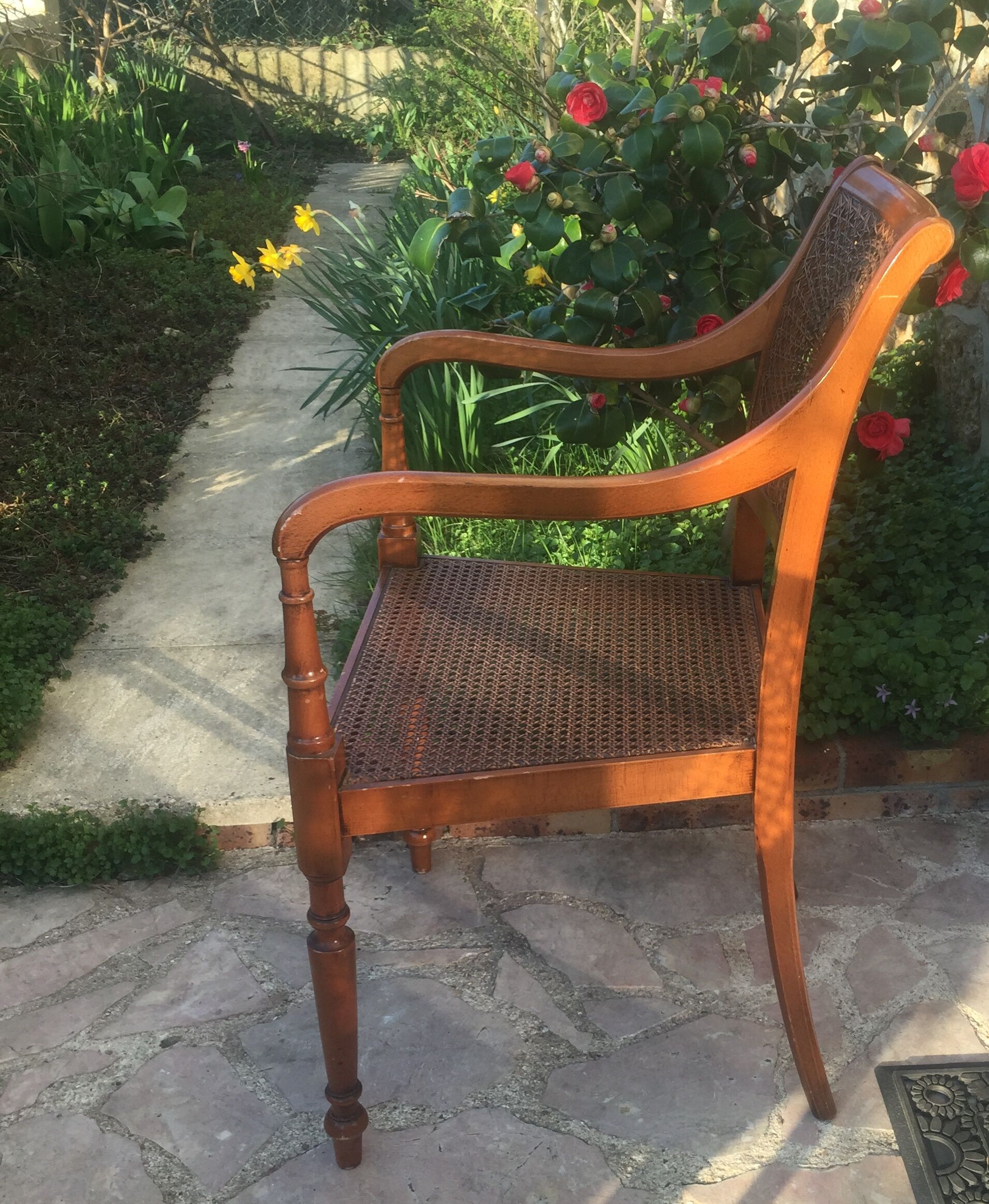 Pair of caned chairs