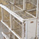 Great aviary bird cage nineteenth century