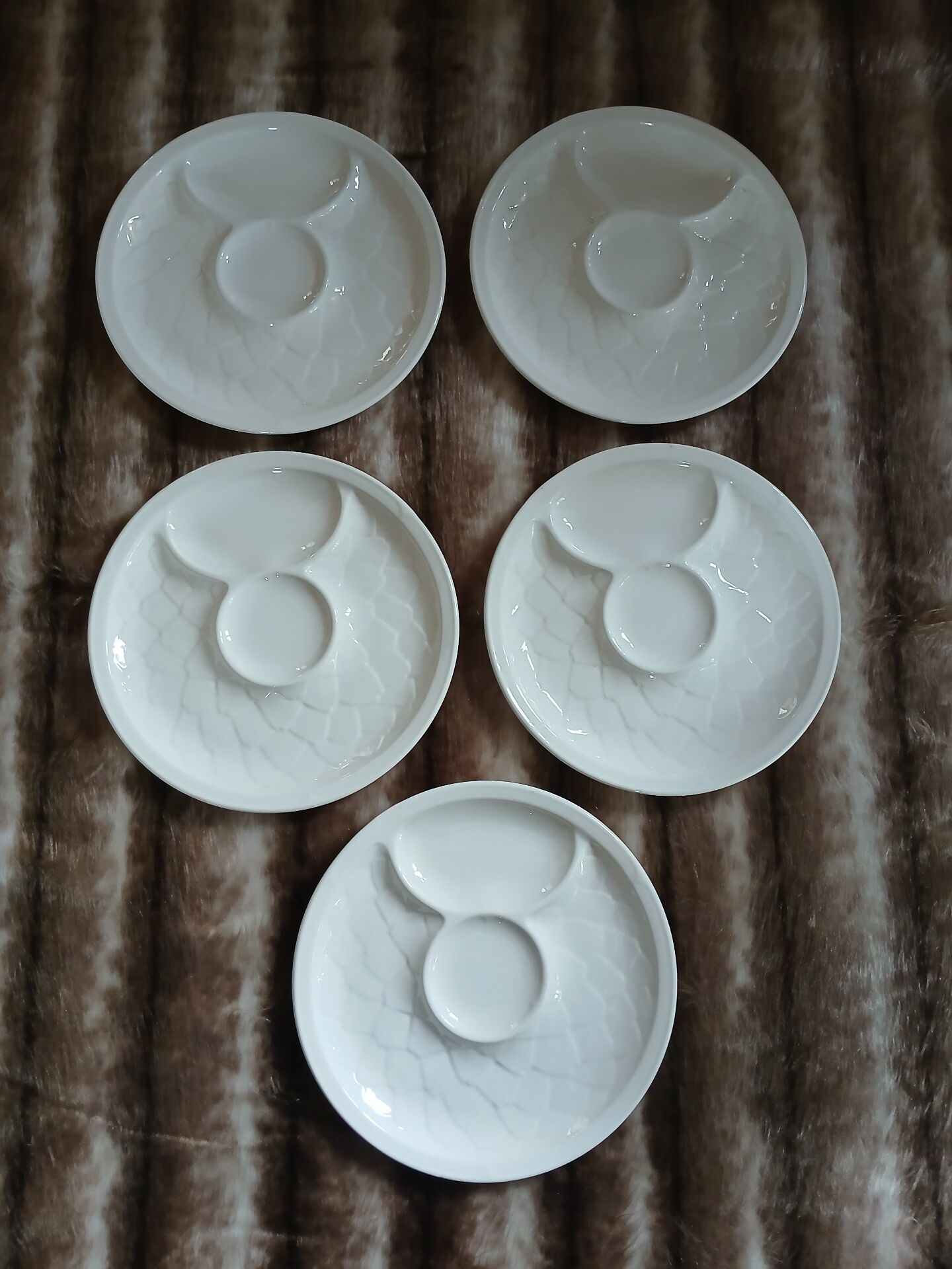 5 antique flat plates in majolica