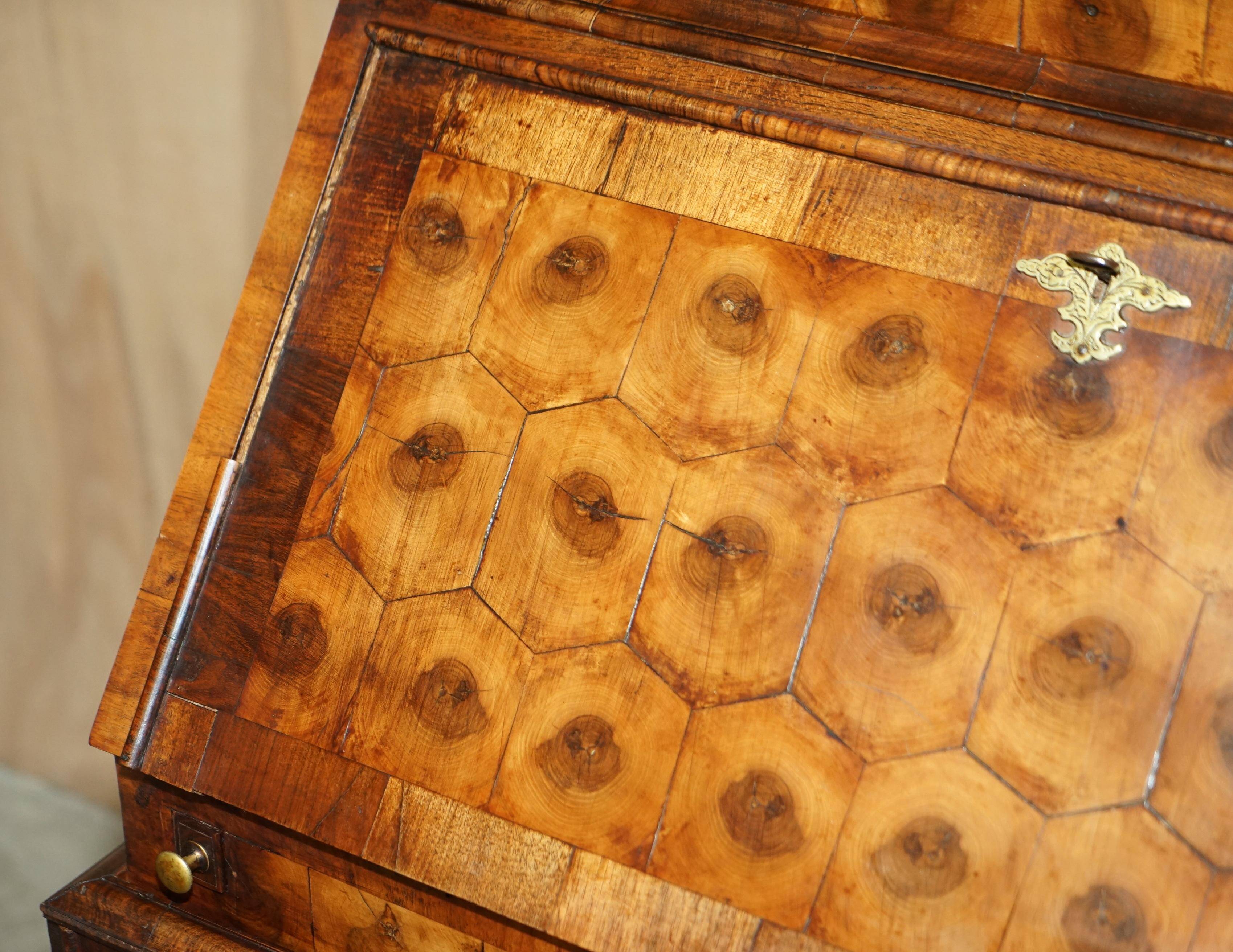 Antique Georgian Display Cabinet in Oyster Veneer circa 1780