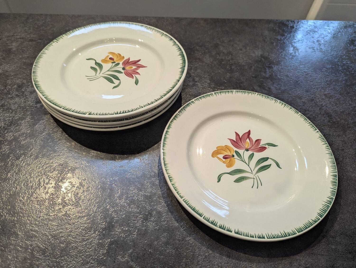 Lot of 6 antique flat plates Digoin Sarreguemines model Boby in very good condition.