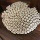 Ancient white coral
