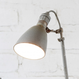 Industrial lumina lamp