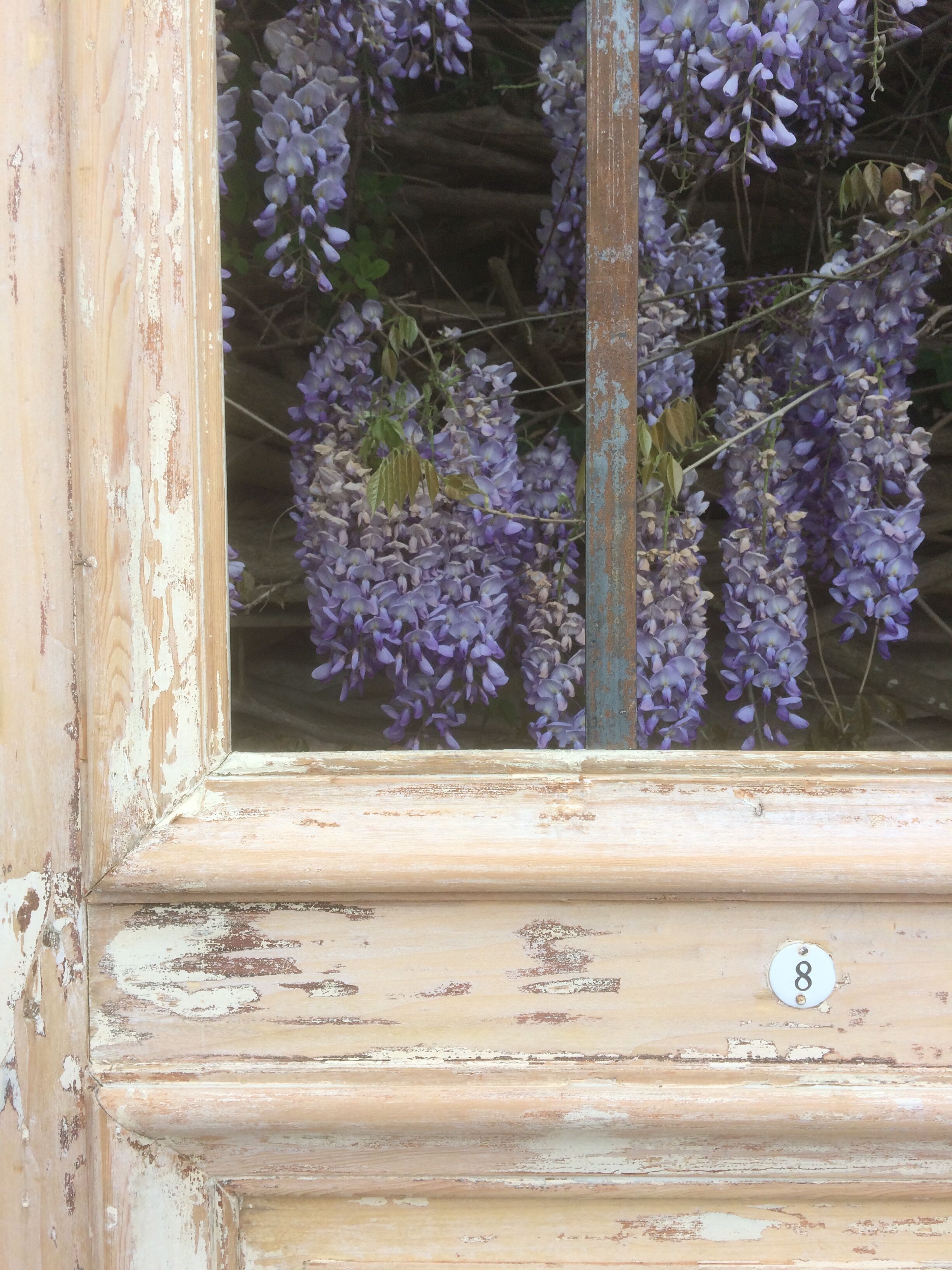 Glass workshop door