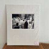 The Bird Market - Oman
