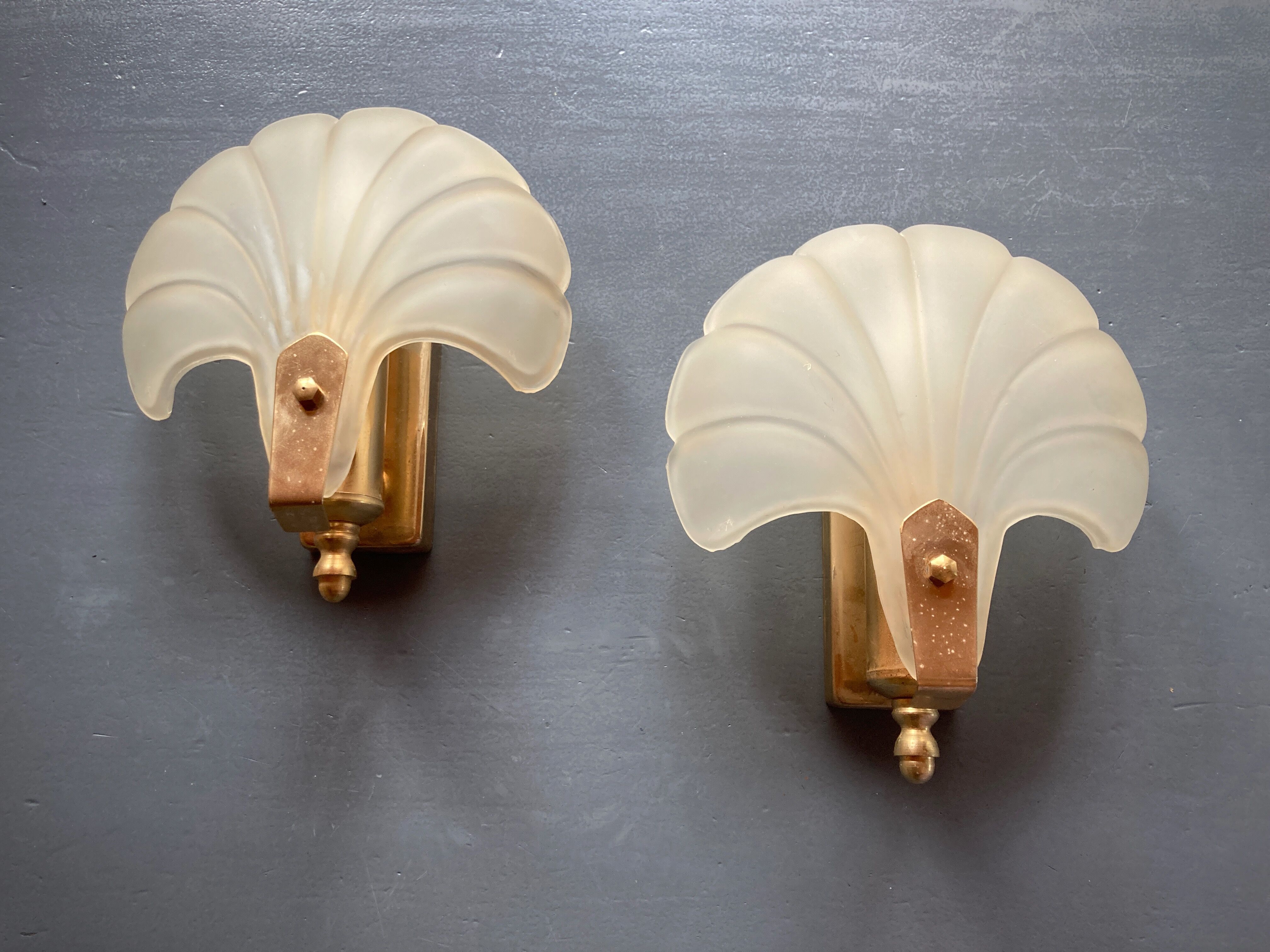 Frosted glass shell wall lamps
