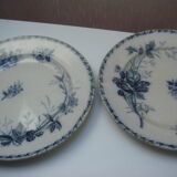 Set of two ripe plates