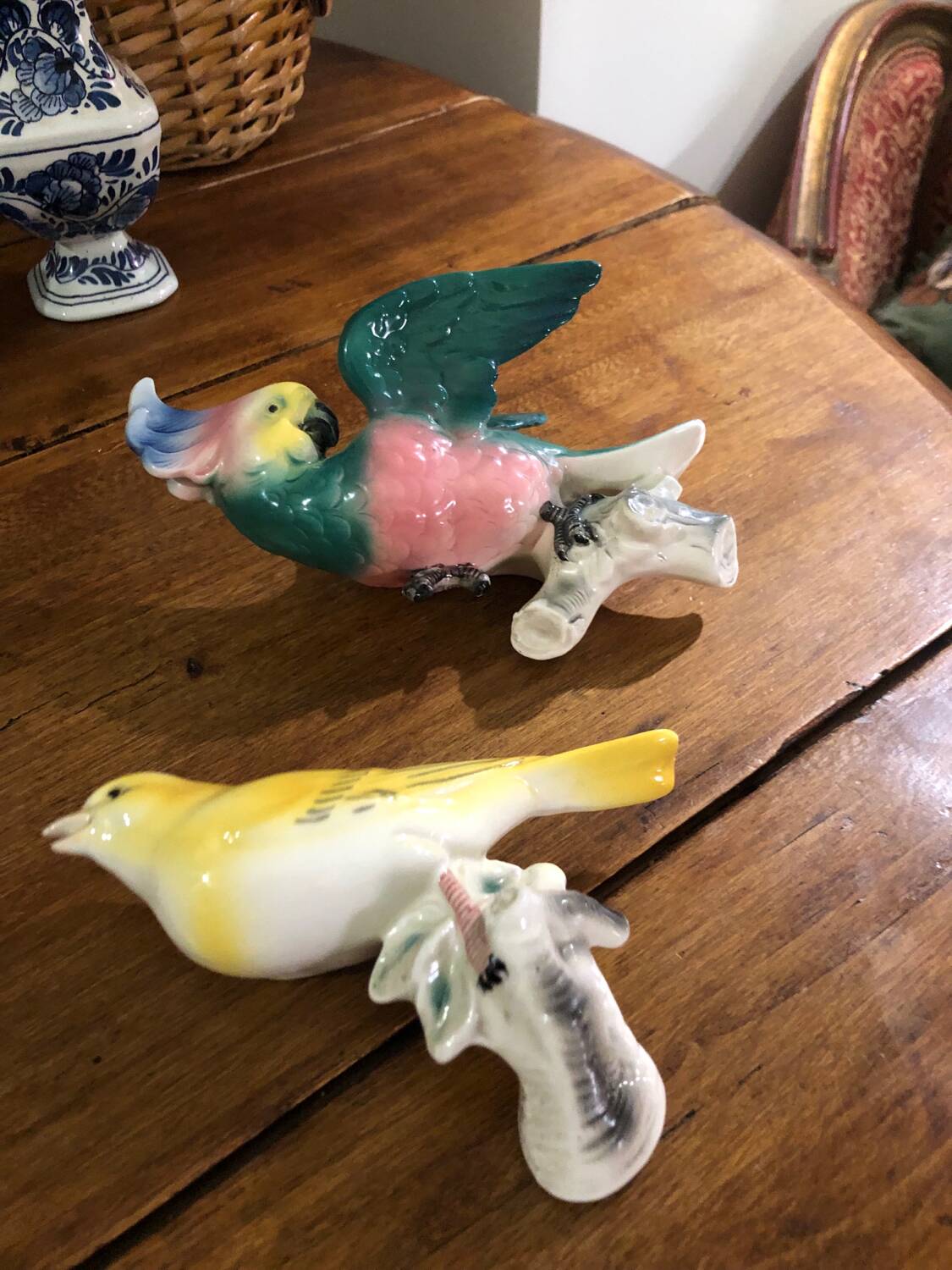 Set of two exotic birds