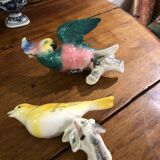 Set of two exotic birds