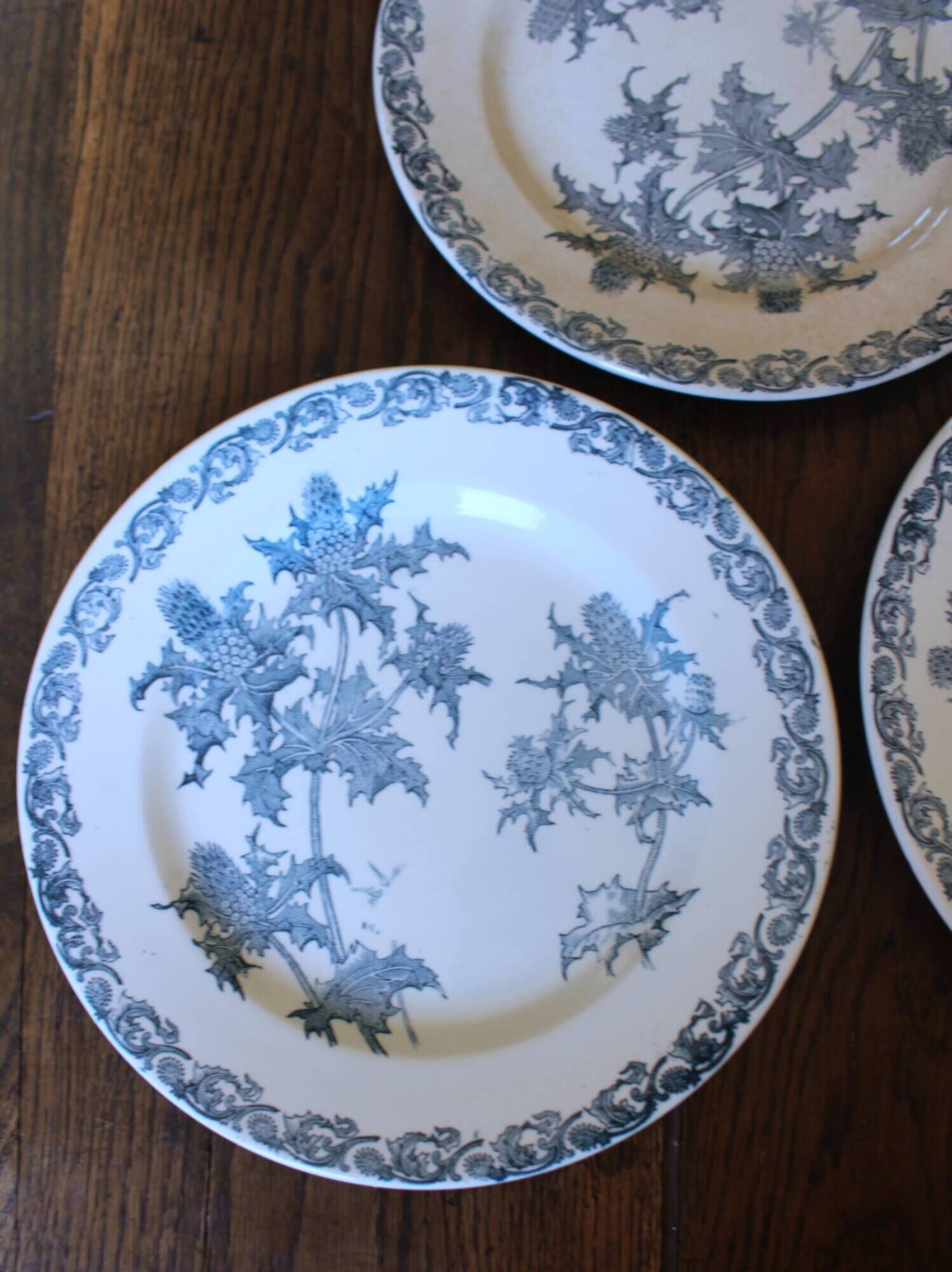 A set of 5 flat plates Chardon Bleu Terre de Fer Clairefontaine Righi