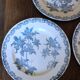 A set of 5 flat plates Chardon Bleu Terre de Fer Clairefontaine Righi