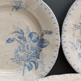Set of plates in faience U&C Sarreguemines