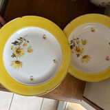 Two dishes Salins - Senlis model