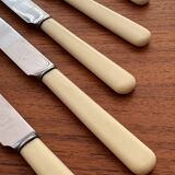 Bakelite handle knives