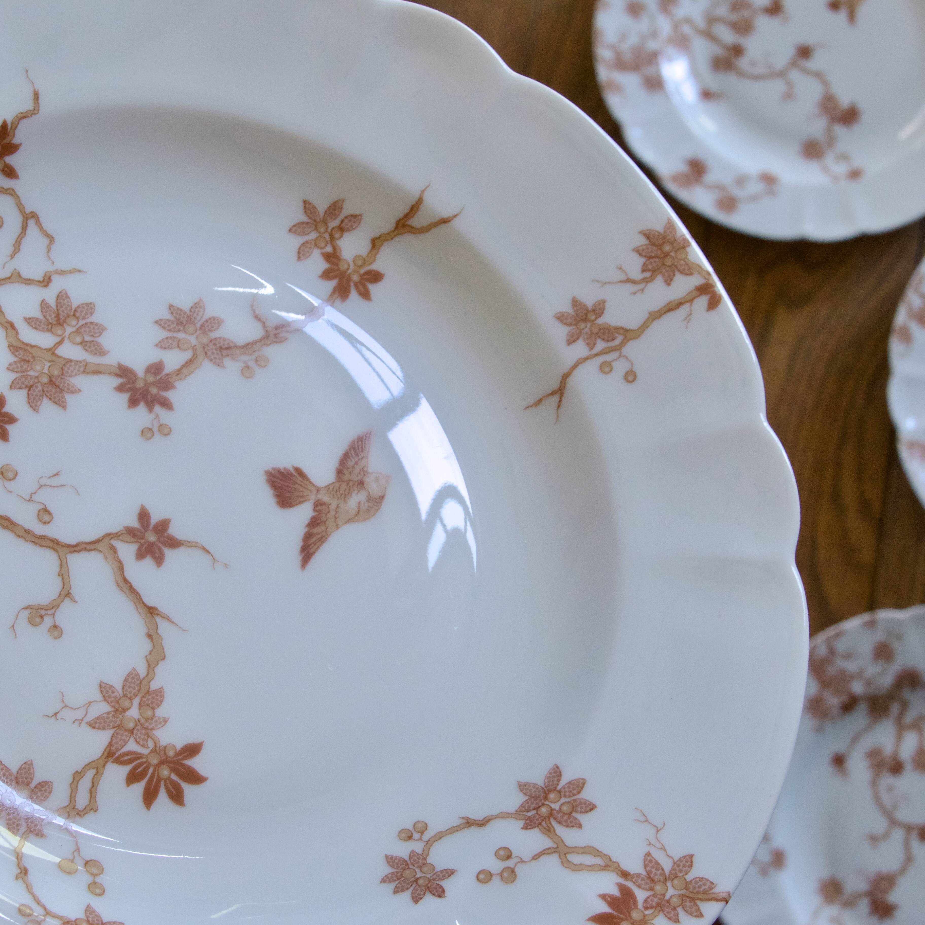 Antique Limoges porcelain plates by Charles Haviland, bird decoration
